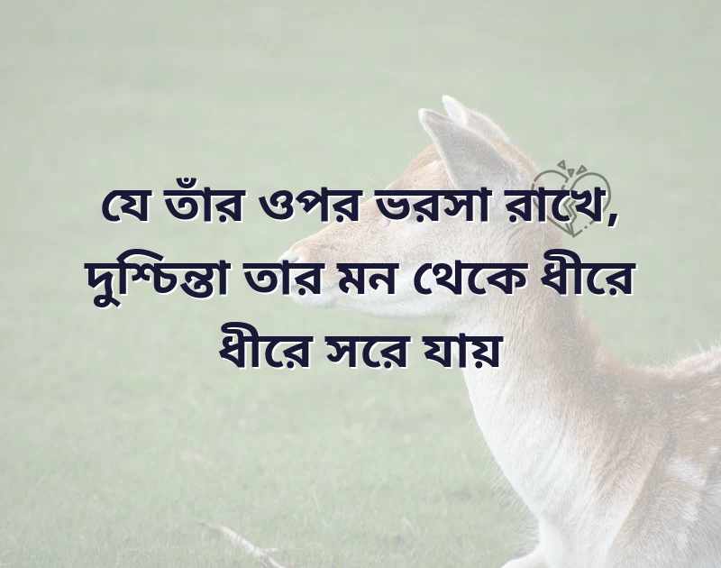দারুণ একটি ছবি