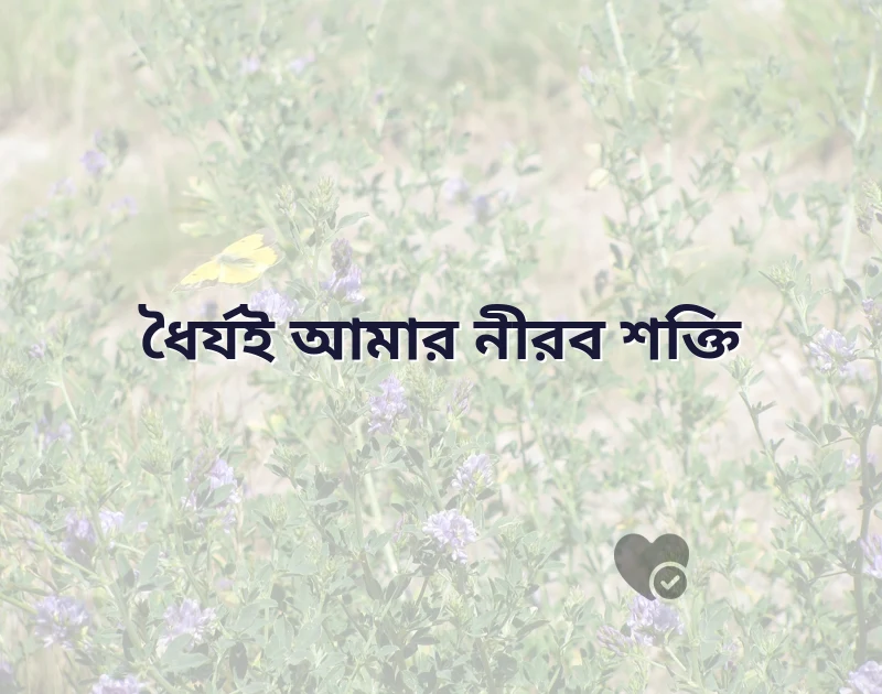 fb caption bangla to english