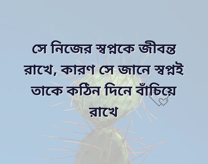দারুণ একটি ছবি
