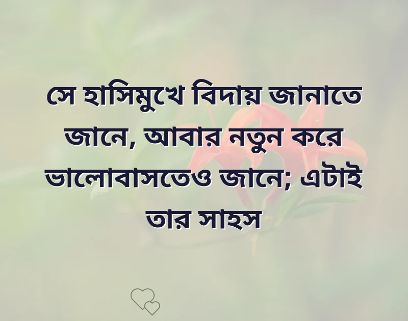 সুন্দর একটি ছবি