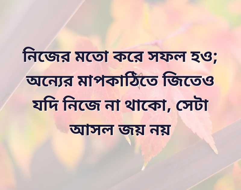 সুন্দর একটি ছবি