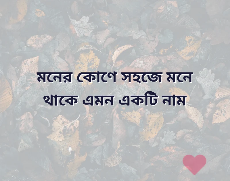 সুন্দর একটি ছবি