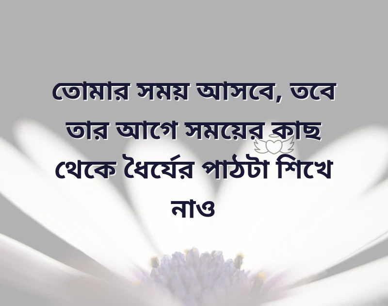 মন ছুঁয়ে যাওয়া ছবি