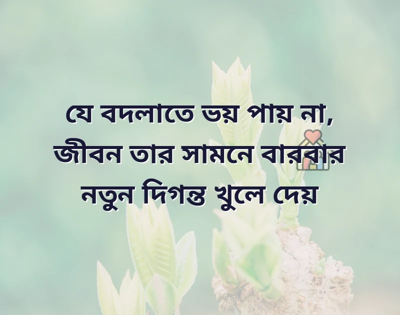 দারুণ একটি ছবি