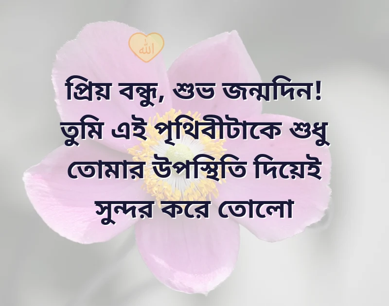 friend birthday wish status bangla