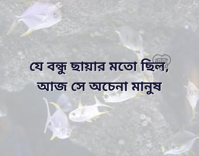 friend sad shayari bengali