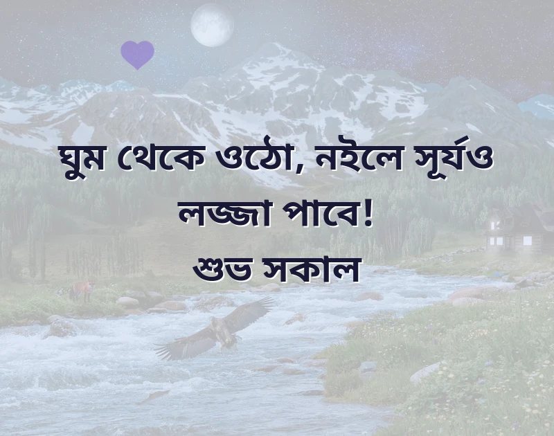 পছন্দের একটি ছবি