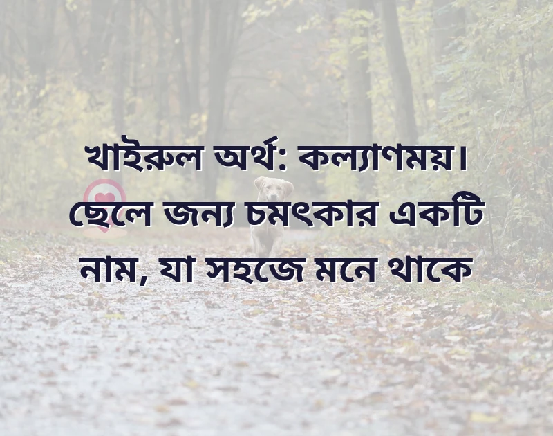 দারুণ একটি ছবি