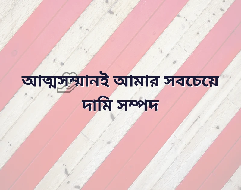 সুন্দর একটি ছবি