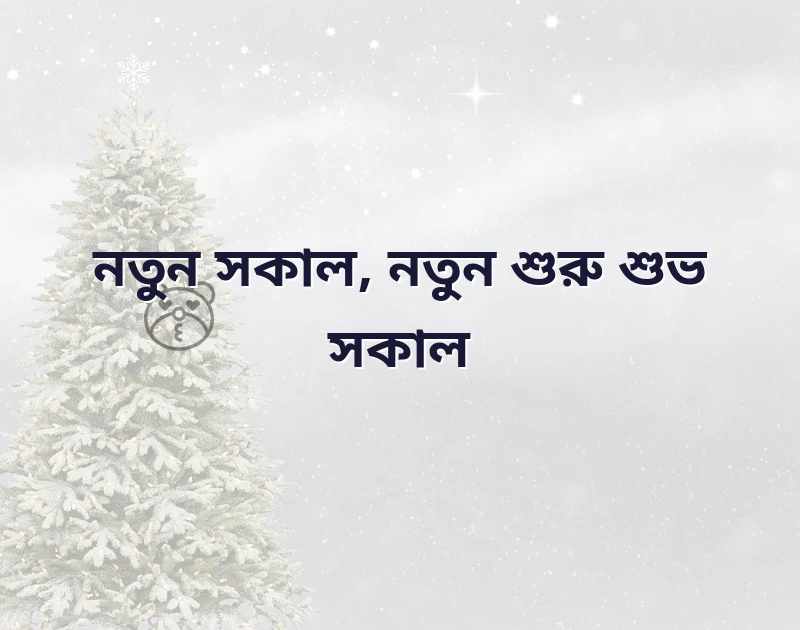 সুন্দর একটি ছবি