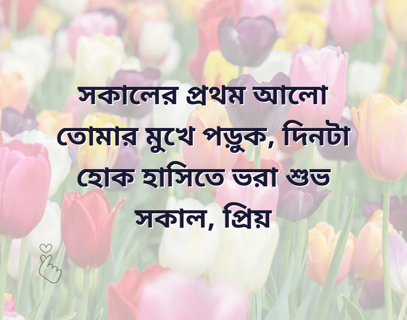 পছন্দের একটি ছবি