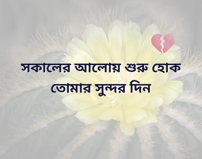 শেয়ার করার মতো ছবি