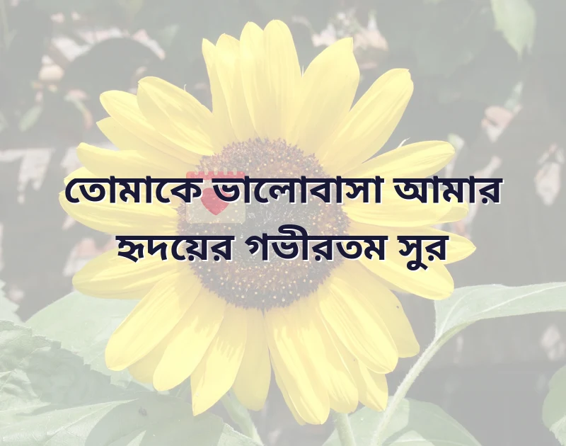 গভীর ভালোবাসার কবিতা