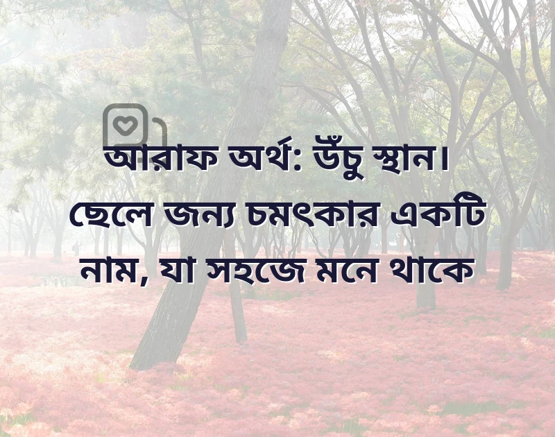 আকর্ষণীয় একটি ছবি