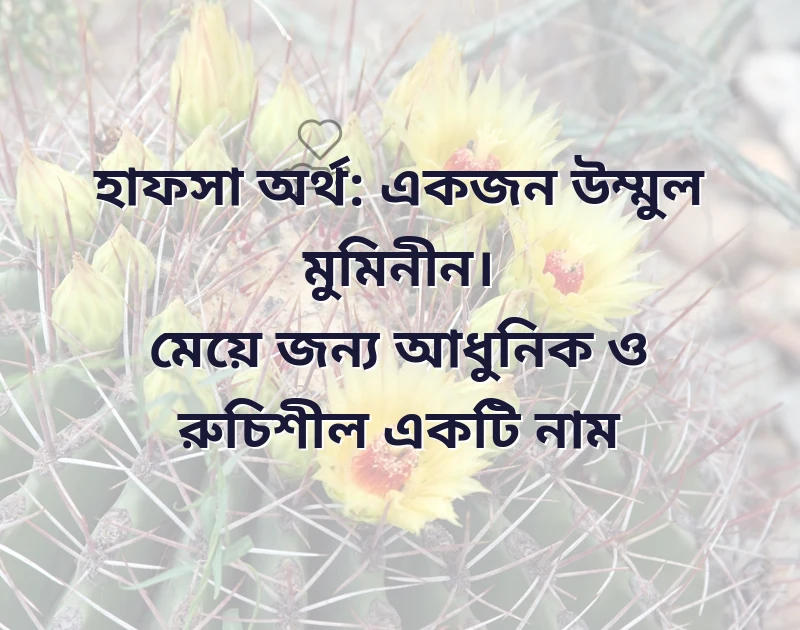 হ দিয়ে মেয়েদের নাম