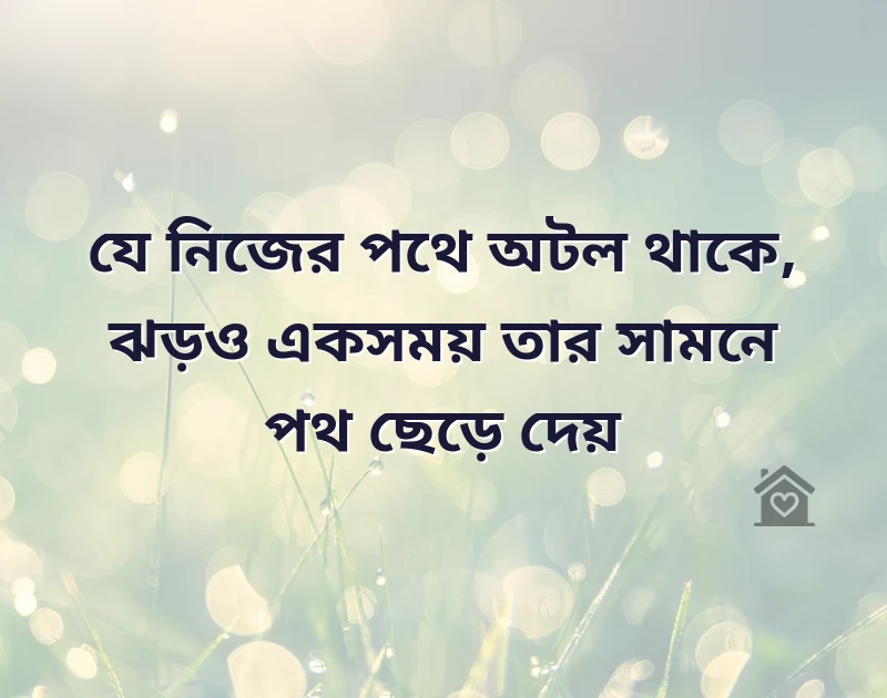 পছন্দের একটি ছবি