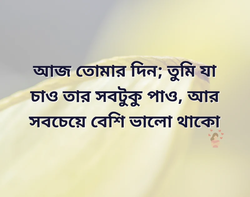 দারুণ একটি ছবি