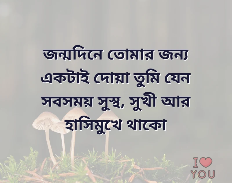 আকর্ষণীয় একটি ছবি