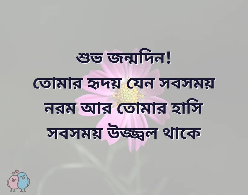 দারুণ একটি ছবি