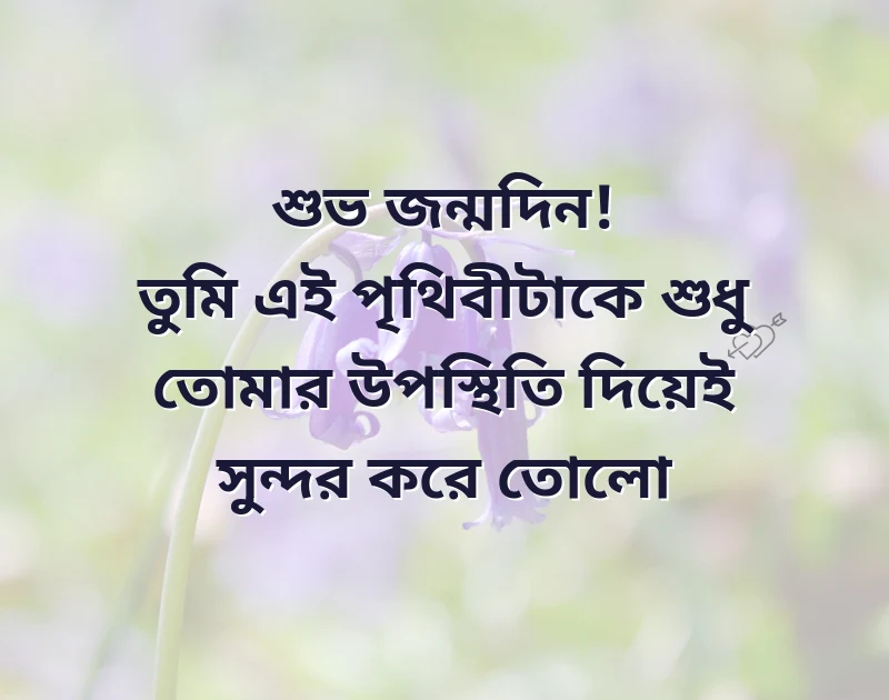 পছন্দের একটি ছবি