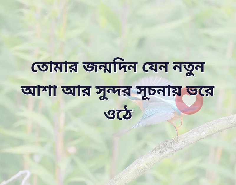 শেয়ার করার মতো ছবি