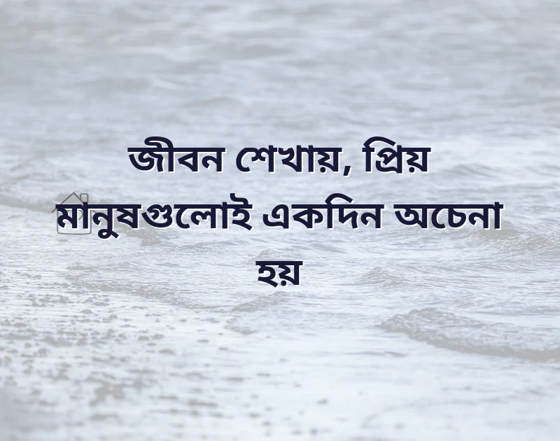 শেয়ার করার মতো ছবি
