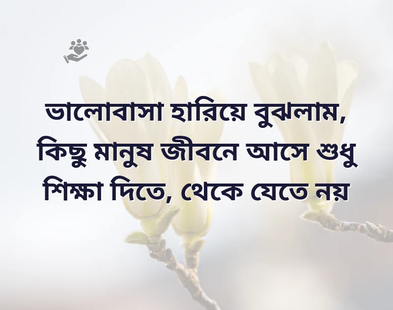 husband wife love quotes in bengali