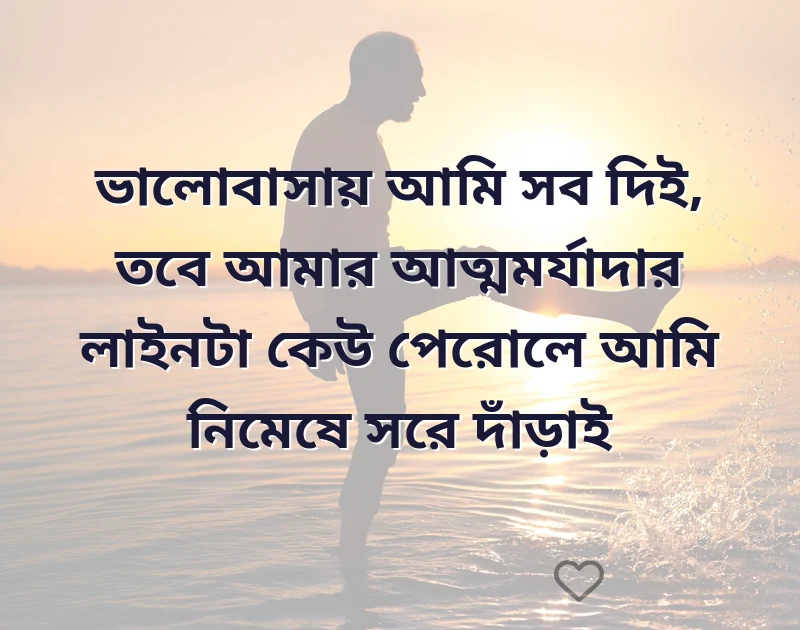 সুন্দর একটি ছবি