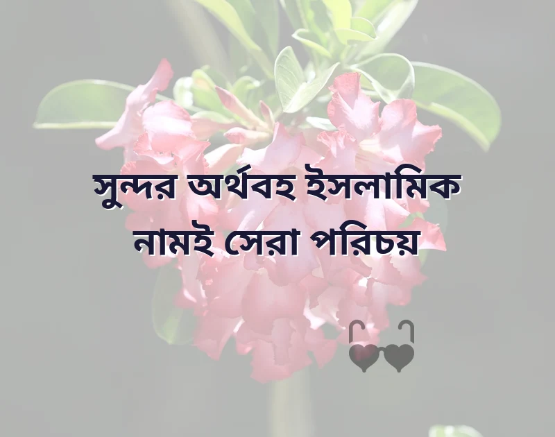 পছন্দের একটি ছবি