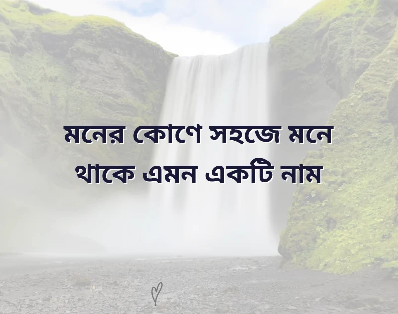 মন ছুঁয়ে যাওয়া ছবি