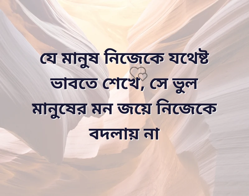 সুন্দর একটি ছবি