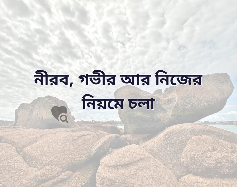 শেয়ার করার মতো ছবি
