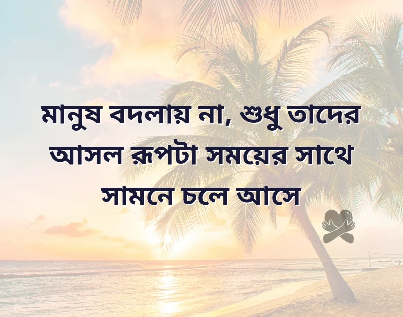 শেয়ার করার মতো ছবি