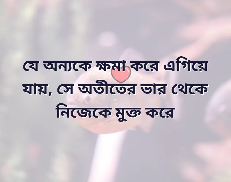 আকর্ষণীয় একটি ছবি