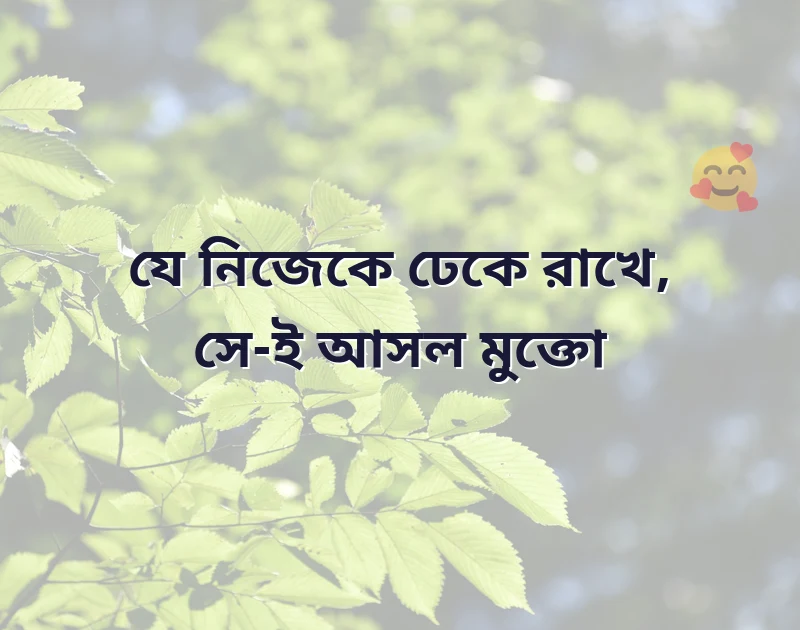 সুন্দর একটি ছবি