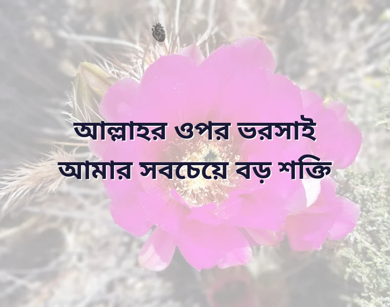 ইসলামিক bio fb