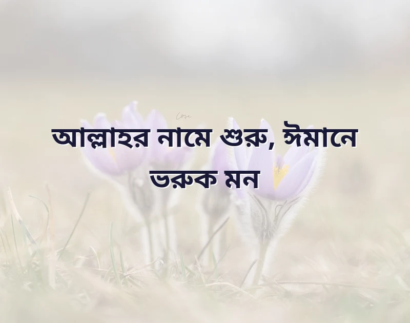 শেয়ার করার মতো ছবি