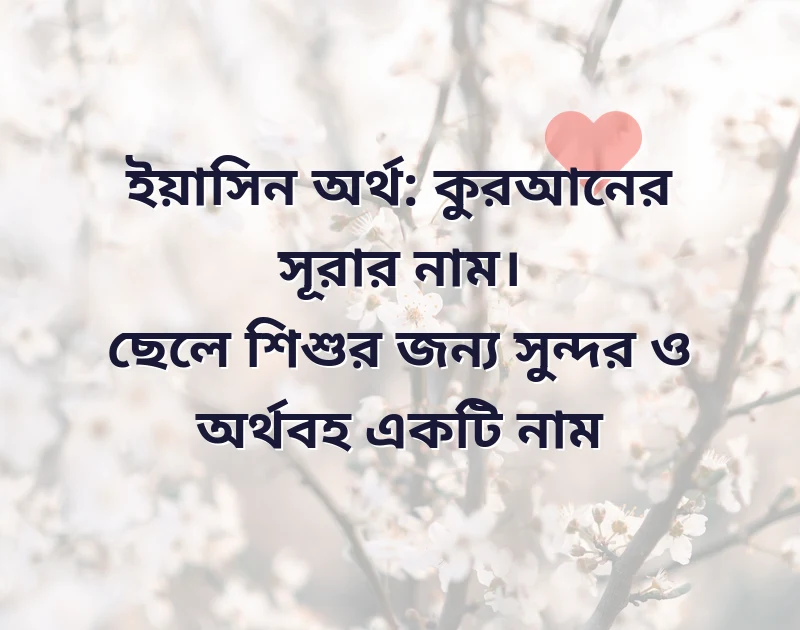 আকর্ষণীয় একটি ছবি