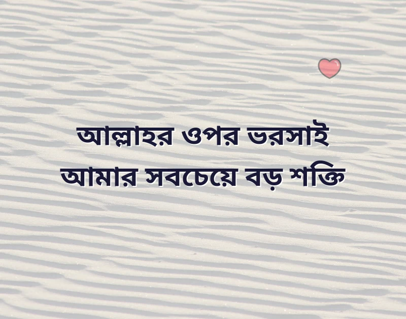 শেয়ার করার মতো ছবি