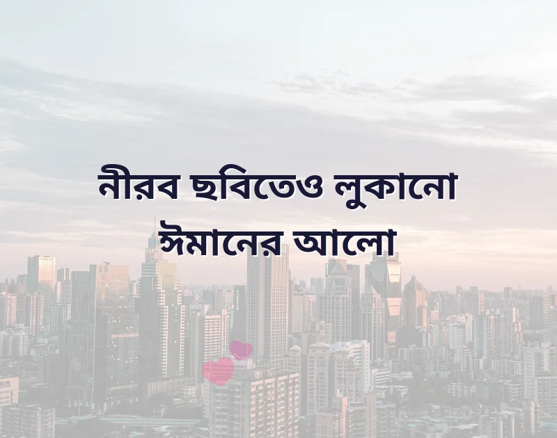 সুন্দর একটি ছবি
