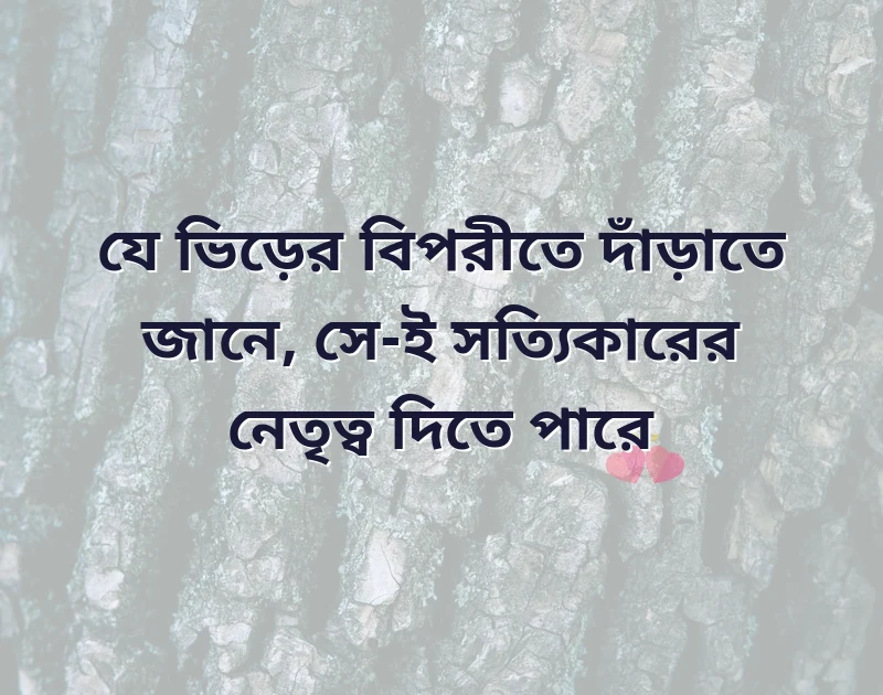 মন ছুঁয়ে যাওয়া ছবি