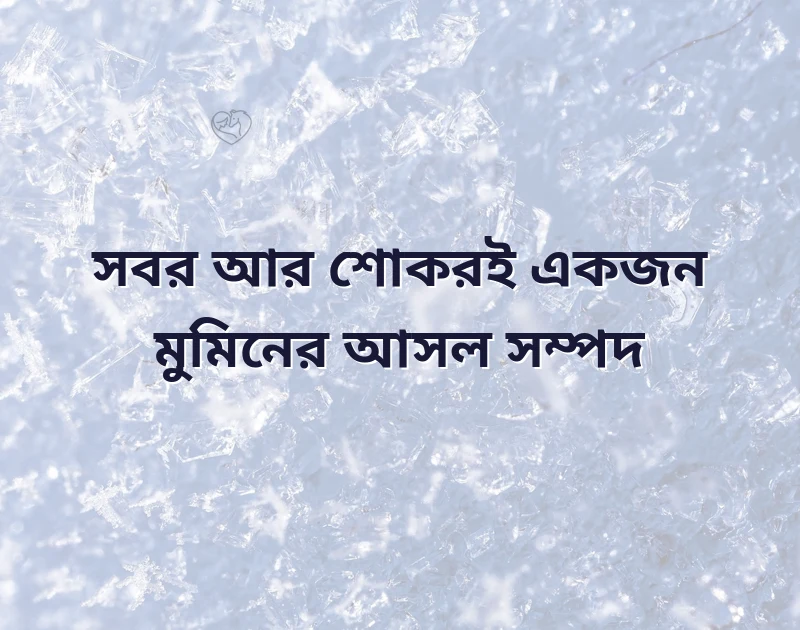দারুণ একটি ছবি