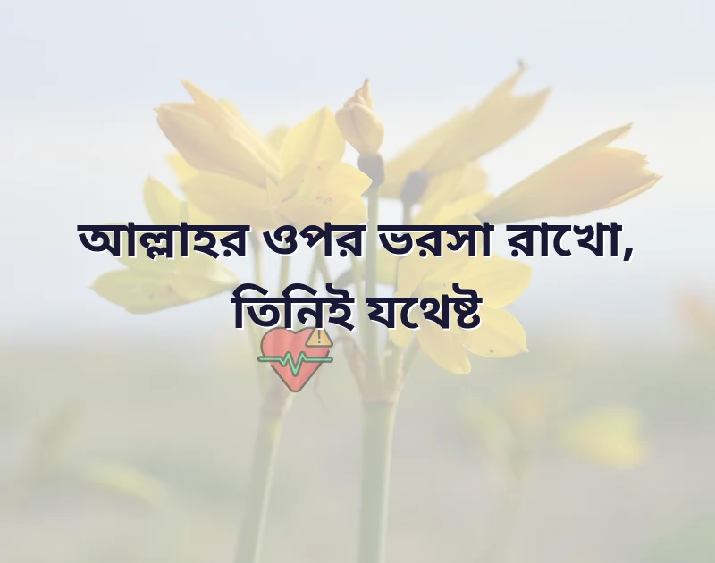 ইসলামিক স্টেটাস বাংলা