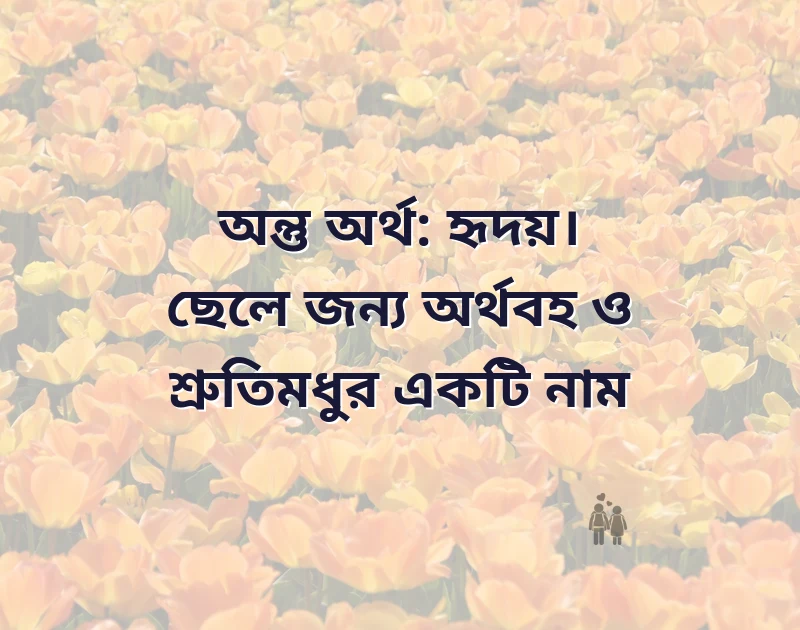 মন ছুঁয়ে যাওয়া ছবি
