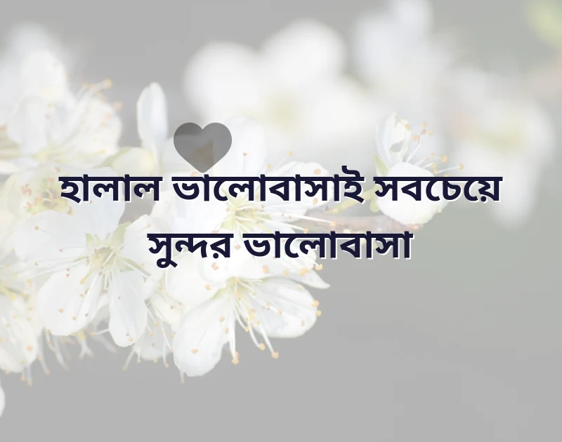 ইসলামিক ভালোবাসার স্ট্যাটাস