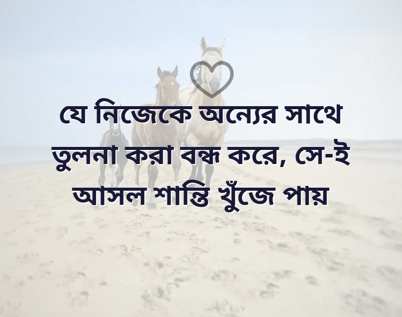 সুন্দর একটি ছবি