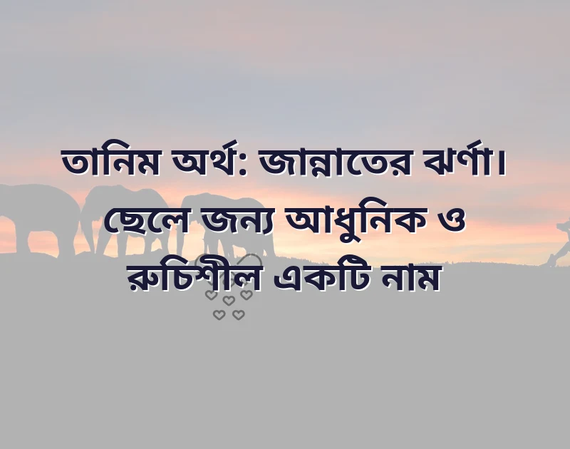 ইসলামি নাম