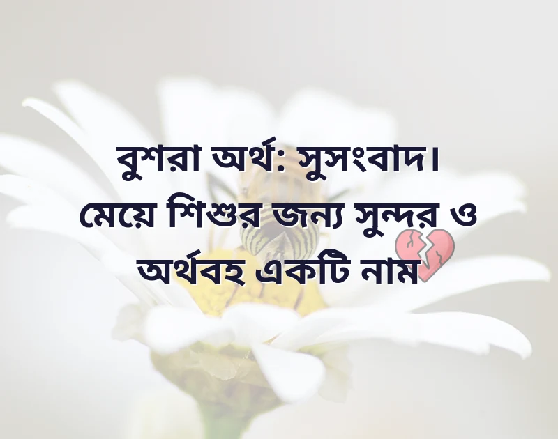 সুন্দর একটি ছবি