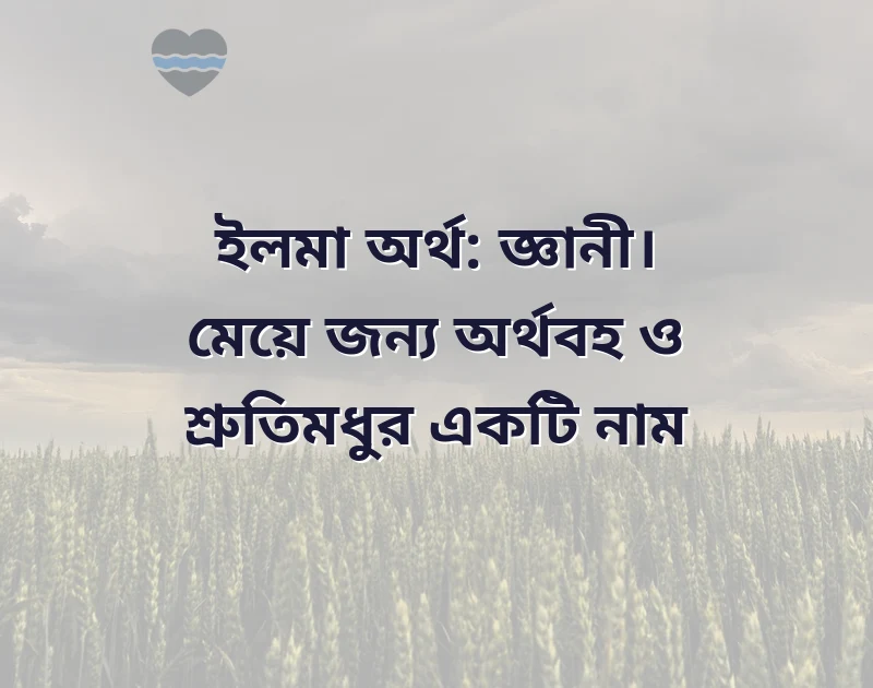 জ দিয়ে মেয়েদের ইসলামিক বড় নাম নিয়ে ক্যাপশন