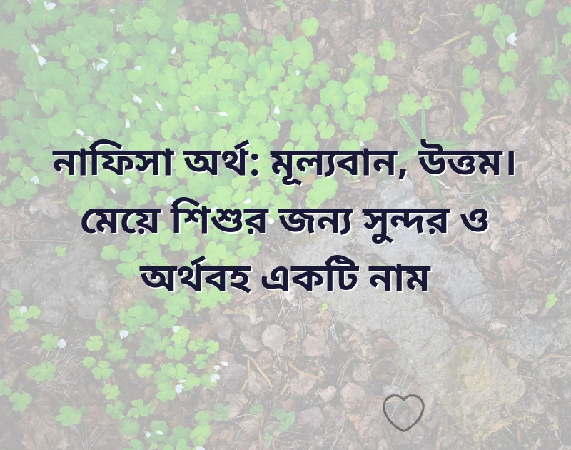 মন ছুঁয়ে যাওয়া ছবি